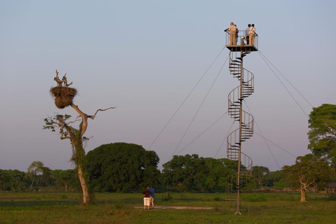 Southwild Pantanal Lodge Pixaim Exterior photo
