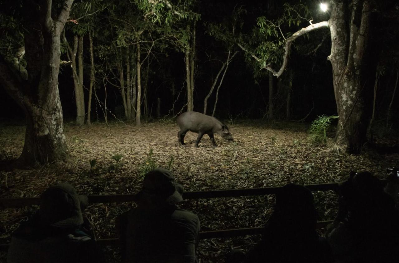 Southwild Pantanal Lodge Pixaim Exterior photo