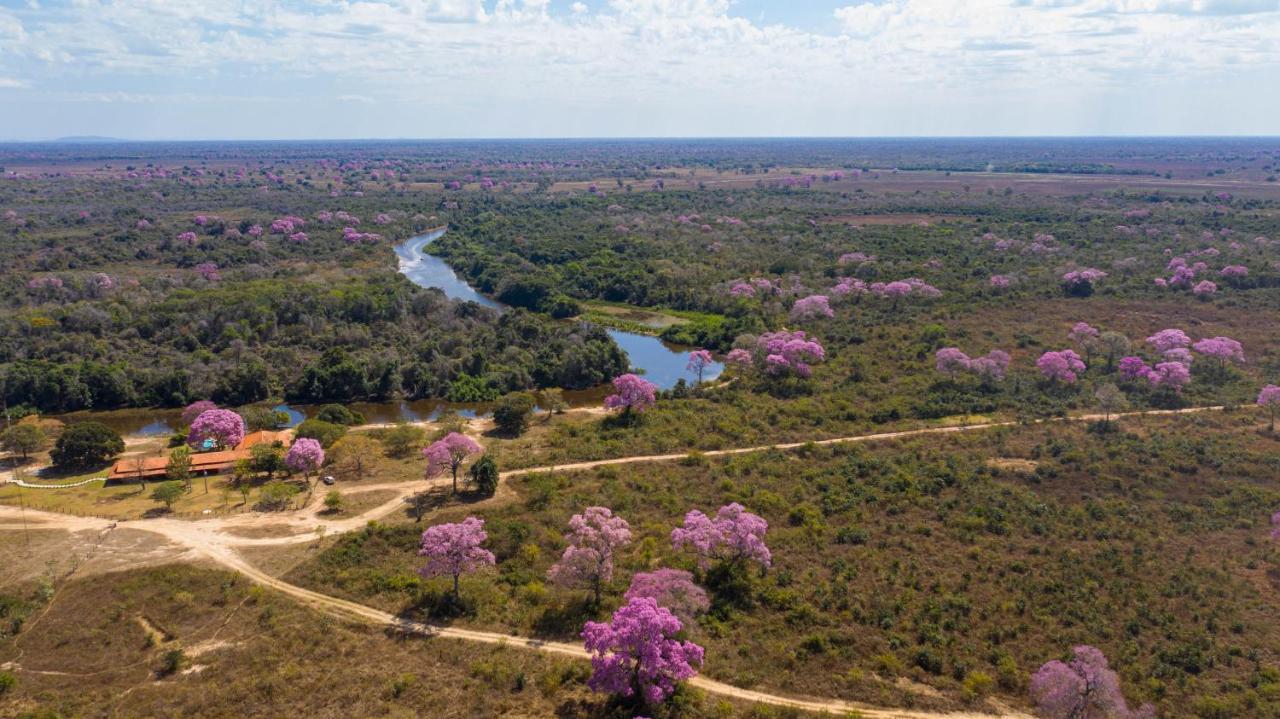 Southwild Pantanal Lodge Pixaim Exterior photo