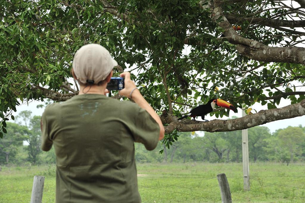 Southwild Pantanal Lodge Pixaim Exterior photo